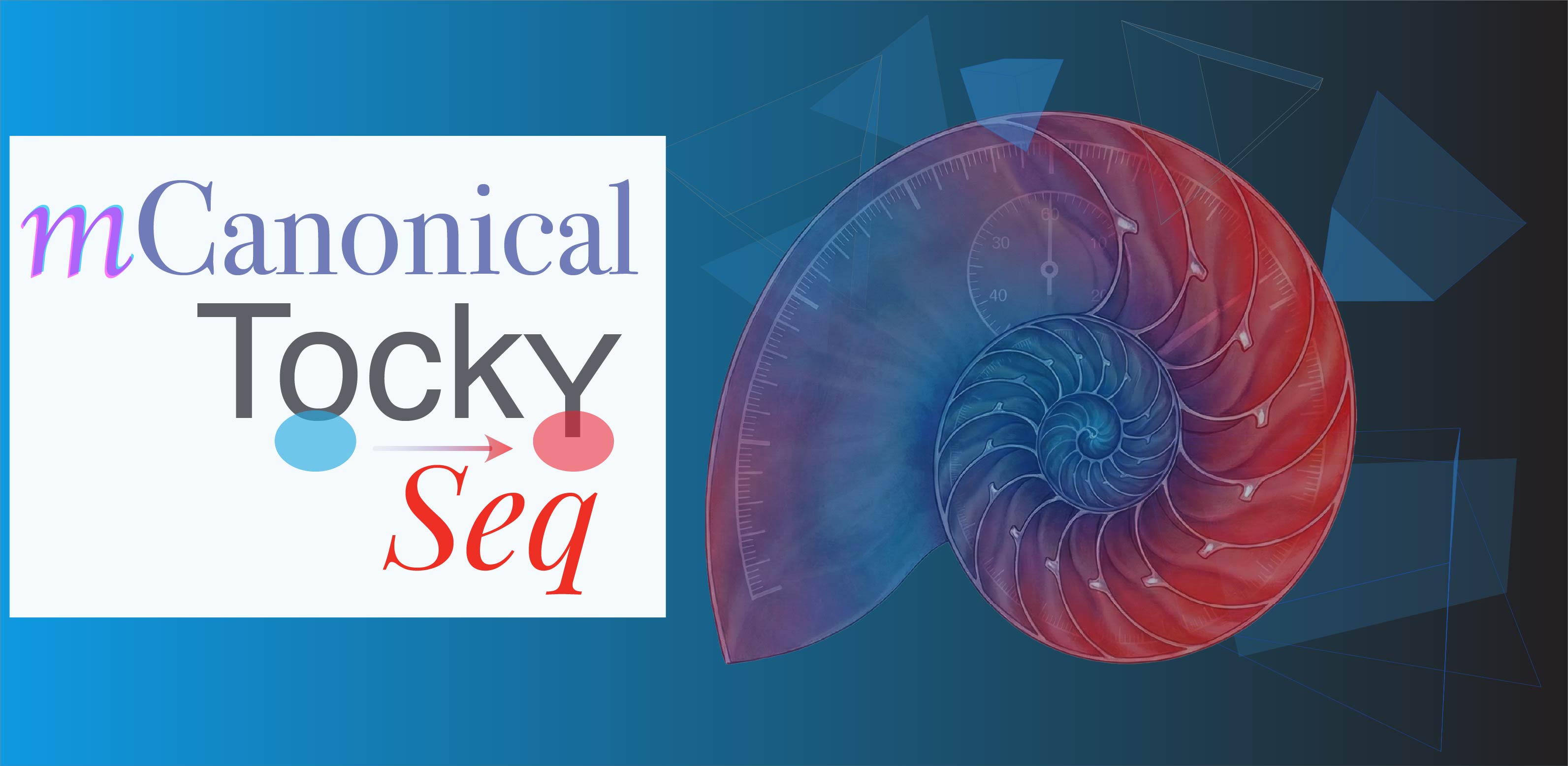 mCanonicalTockySeq Logo